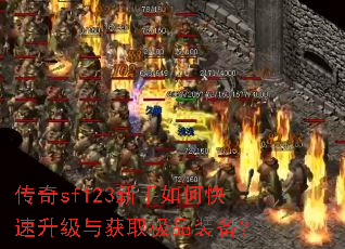 ����sf123������ο����������ȡ��Ʒװ����