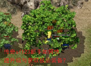 ����sf123������ο����������ȡ��Ʒװ����