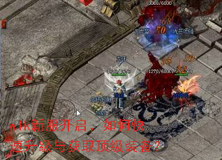 wlk新服开启,如何快速升级与获取顶级装备? wlk新服开启,如何快速升级与获取顶级装备?