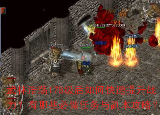 武林浩荡178级后如何快速提升战力?有哪些必做任务与副本攻略? 武林浩荡178级后如何快速提升战力?有哪些必做任务与副本攻略?