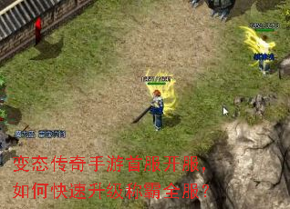 变态传奇手游首服开服,如何快速升级称霸全服? 变态传奇手游首服开服,如何快速升级称霸全服?