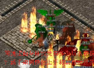 网通扭曲丛林究竟有多少玩家在探索?新手如何快速上手称霸传奇世界? 网通扭曲丛林究竟有多少玩家在探索?新手如何快速上手称霸传奇世界?