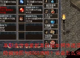 ��ְҵ�������µ�������ο�������ս��������Щ���ص�ͼ��BOSS���ԣ�װ����ôǿ������Ч��